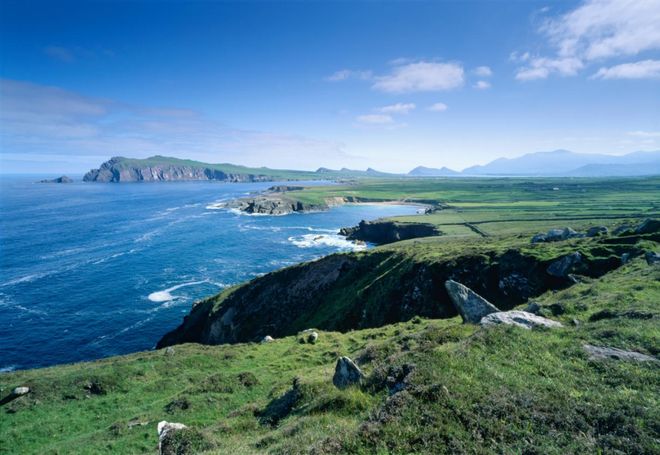 革!爱尔兰猪肉抢占新赛道MG不朽情缘猪肉消费大变(图6) 革!爱尔兰猪肉抢占新赛道MG不朽情缘猪肉消费大变(图6)